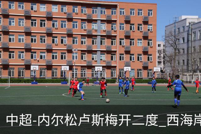 中超-内尔松卢斯梅开二度 西海岸3-1浙江12轮不败