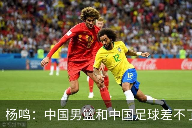 杨鸣：中国男篮和中国足球差不了太多，没有气场，失去了绝对优势