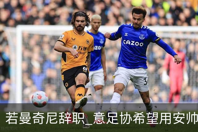 若曼奇尼辞职 意足协希望用安帅或卡纳瓦罗替代